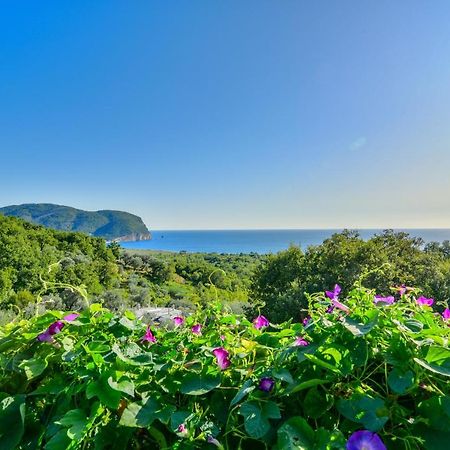 Pataki Studios Petrovac Ngoại thất bức ảnh