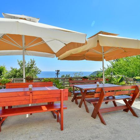 Pataki Studios Petrovac Ngoại thất bức ảnh