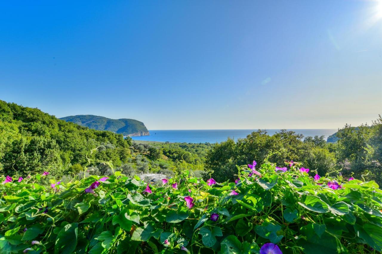 Pataki Studios Petrovac Ngoại thất bức ảnh