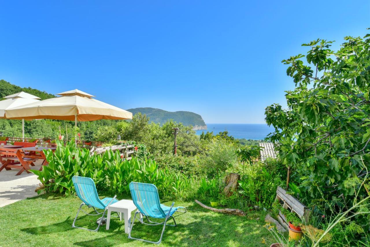 Pataki Studios Petrovac Ngoại thất bức ảnh