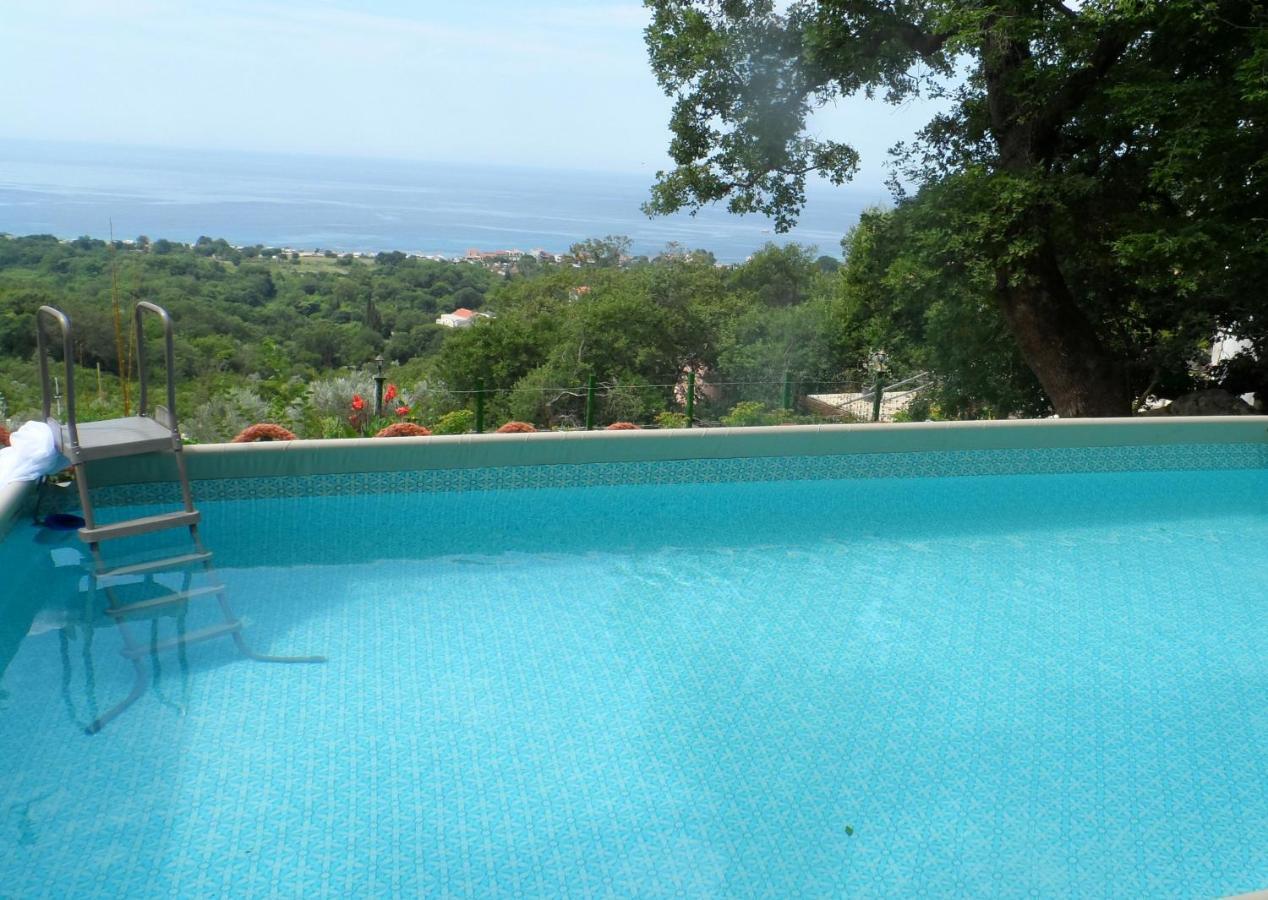 Pataki Studios Petrovac Ngoại thất bức ảnh