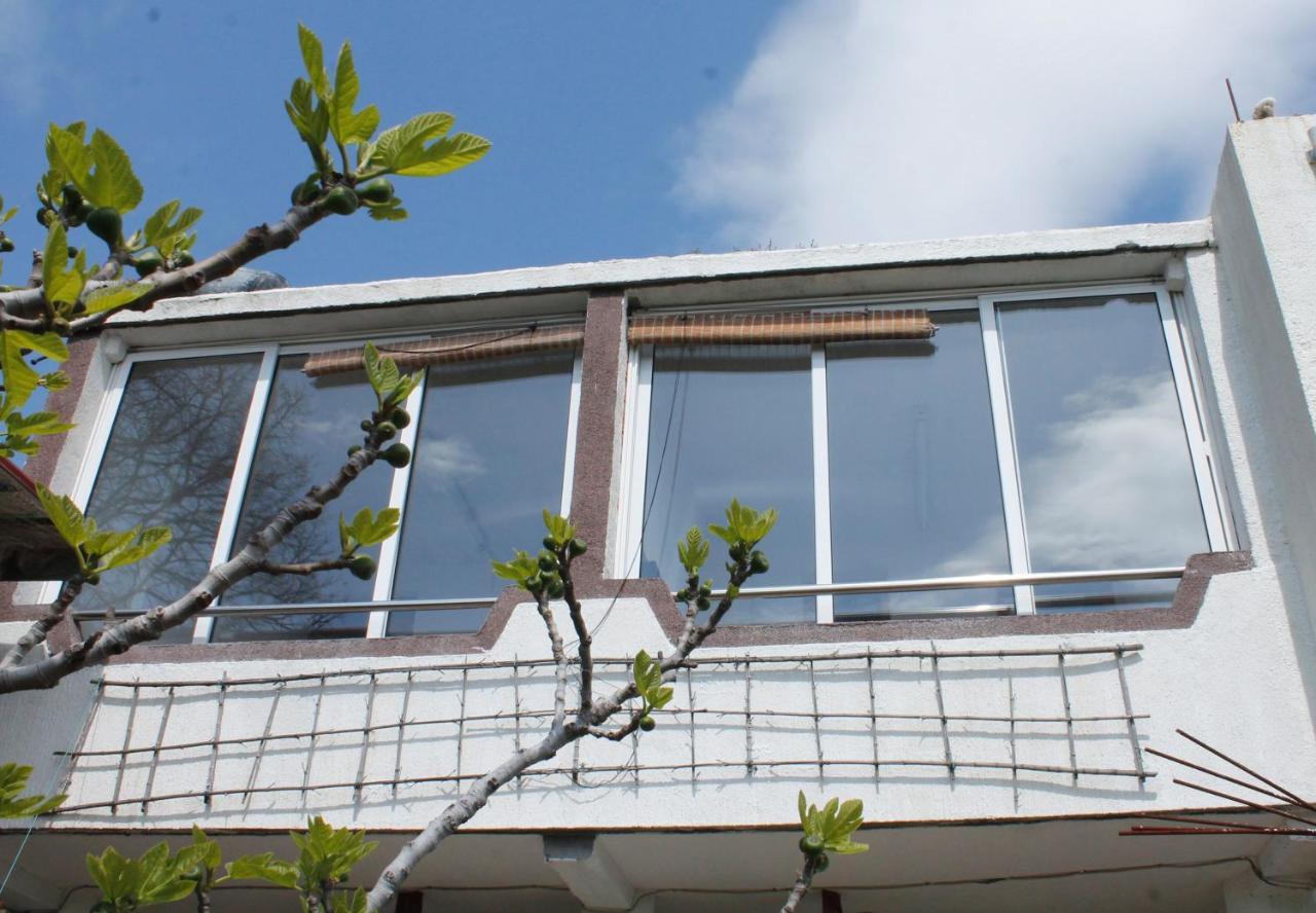 Pataki Studios Petrovac Ngoại thất bức ảnh