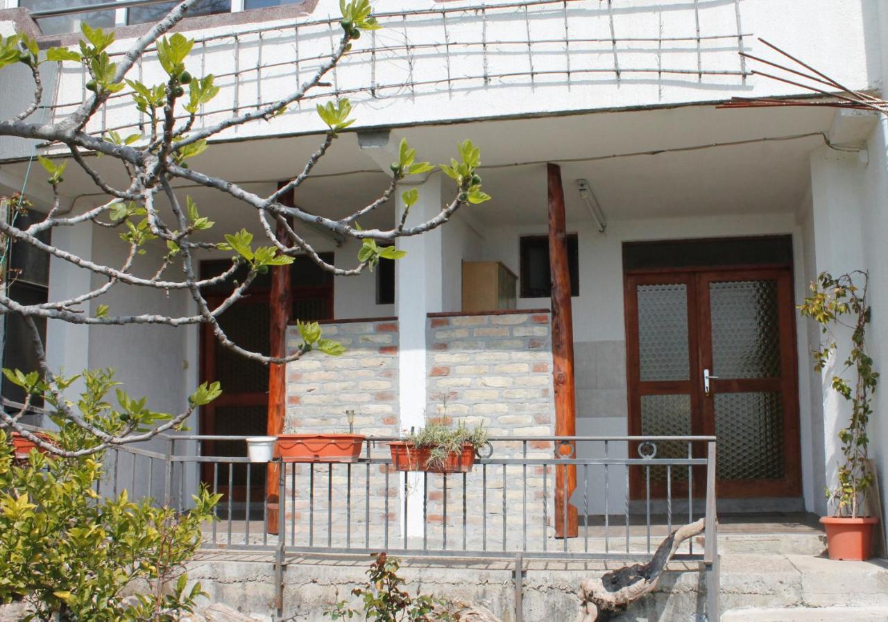 Pataki Studios Petrovac Ngoại thất bức ảnh