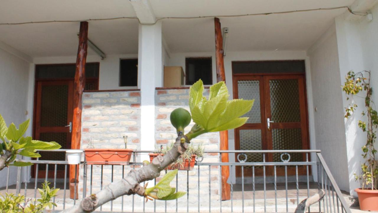 Pataki Studios Petrovac Ngoại thất bức ảnh